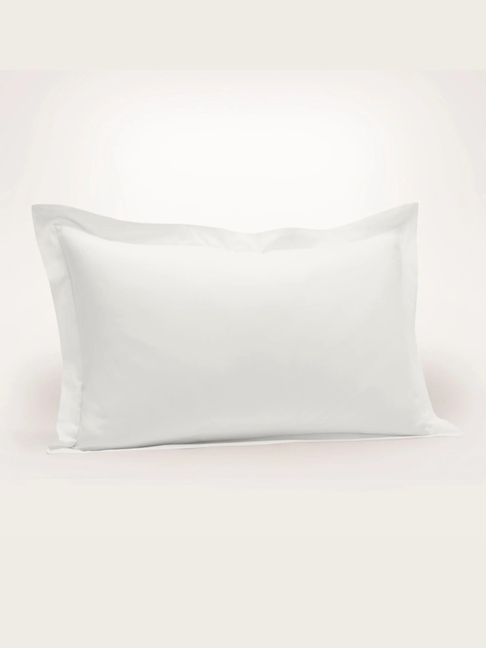 2 Standard Signature Hemmed Shams in White